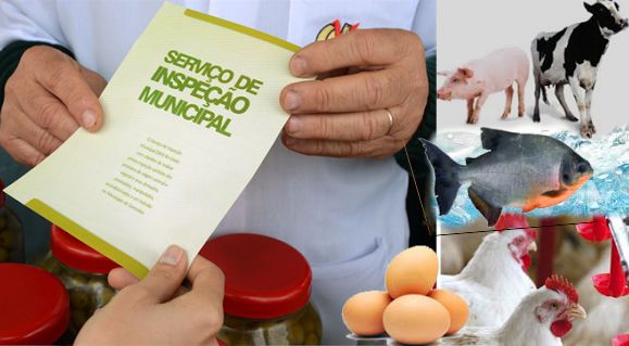 Serviço de Inspeção Sanitária Municipal é aprovado pela Câmara de Caxingó(PI)