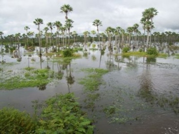 Lago do Rio Longá (período chuvoso) zona urbana